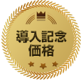 導入記念価格