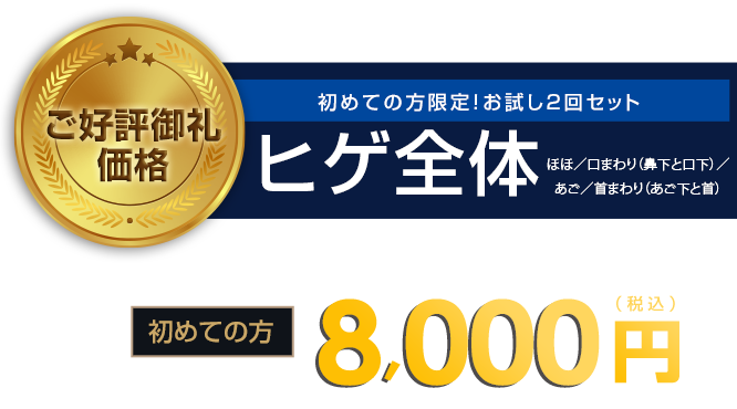 ご好評御礼価格、初めての方限定！お試し2回セット「ヒゲ全体」